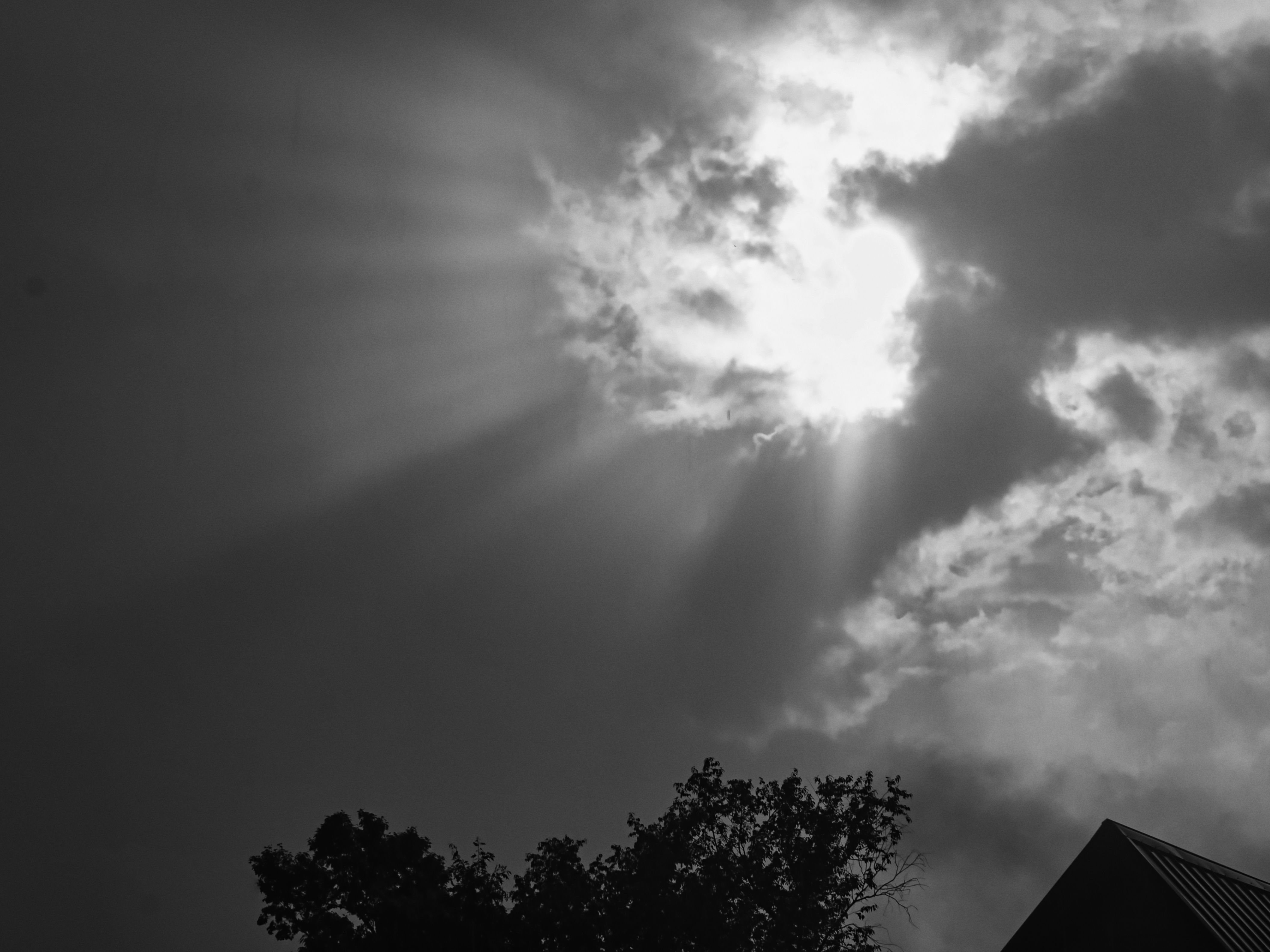 Black-and-white shot looking skyward as sun rays burst through a gap in heavy, dramatic clouds, casting visible crepuscular beams across the upper center of the frame, with the dark silhouettes of a leafy tree and a rooftop just visible along the bottom edge.