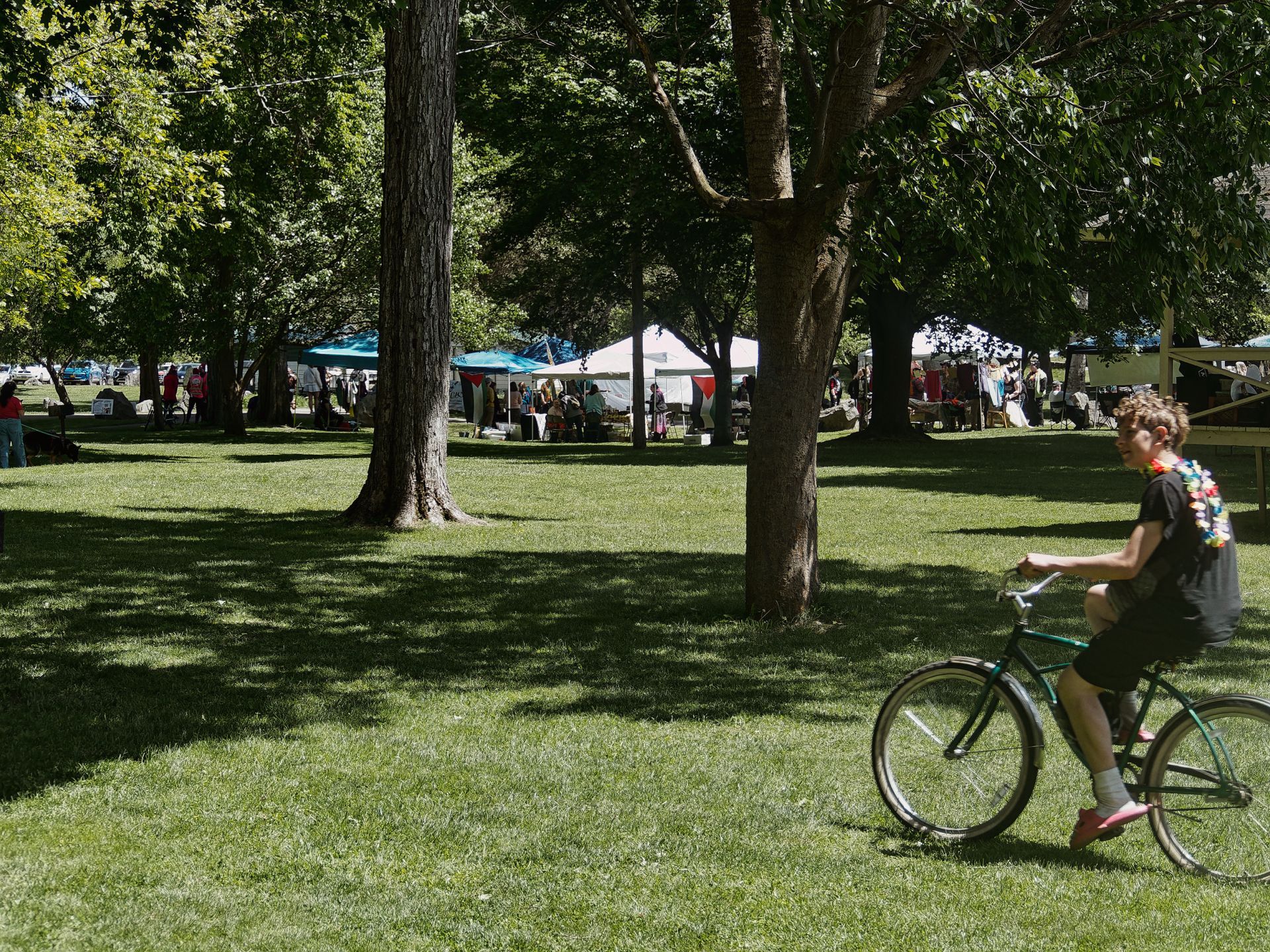 A person in a black t-shirt and pink shoes, wearing a colorful floral lei, rides a dark green cruiser bicycle across a sunlit grass park in the foreground, while vendor tents in teal, white, and red dot the tree-shaded background where small clusters of people browse.