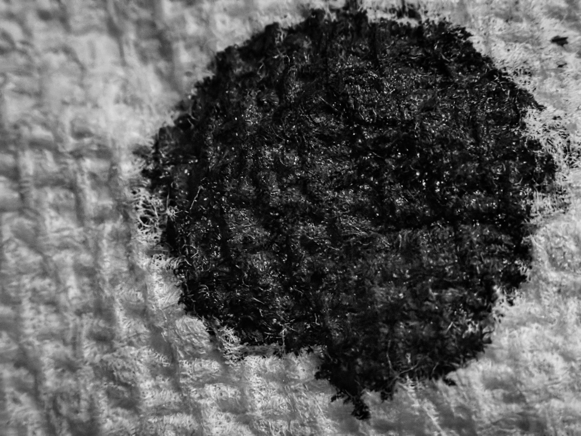 Black-and-white close-up of a dark, roughly circular ink blot soaked into a paper towel, its edges ragged with absorbed fibers splaying outward against the pale textile texture.