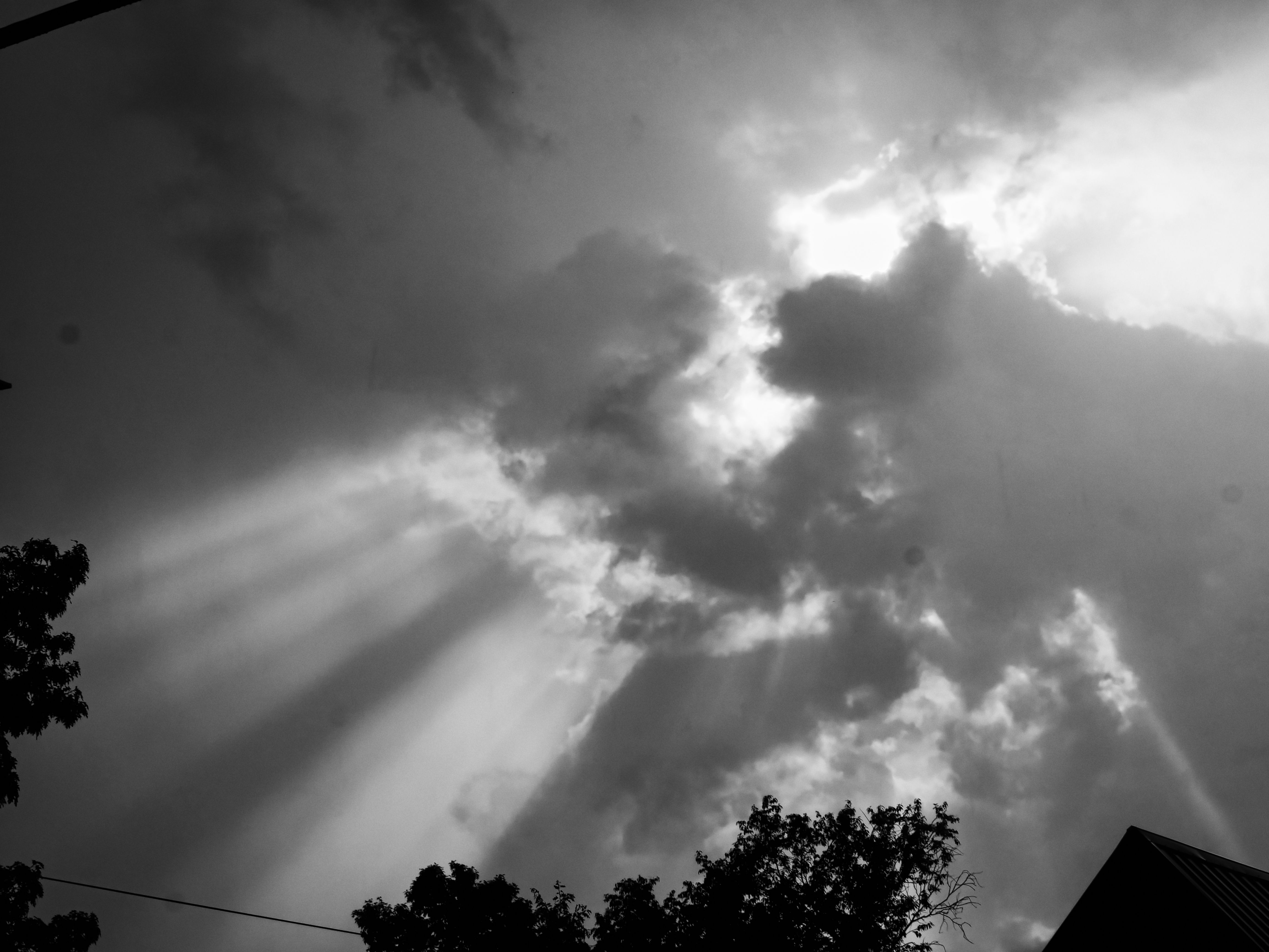 Black-and-white skyward shot dominated by dramatic storm clouds parting to release broad crepuscular rays that fan downward and to the left, the light nearly theatrical against the dark churning mass above. Silhouetted tree canopies line the bottom edge, with the roofline of a building visible at lower right.