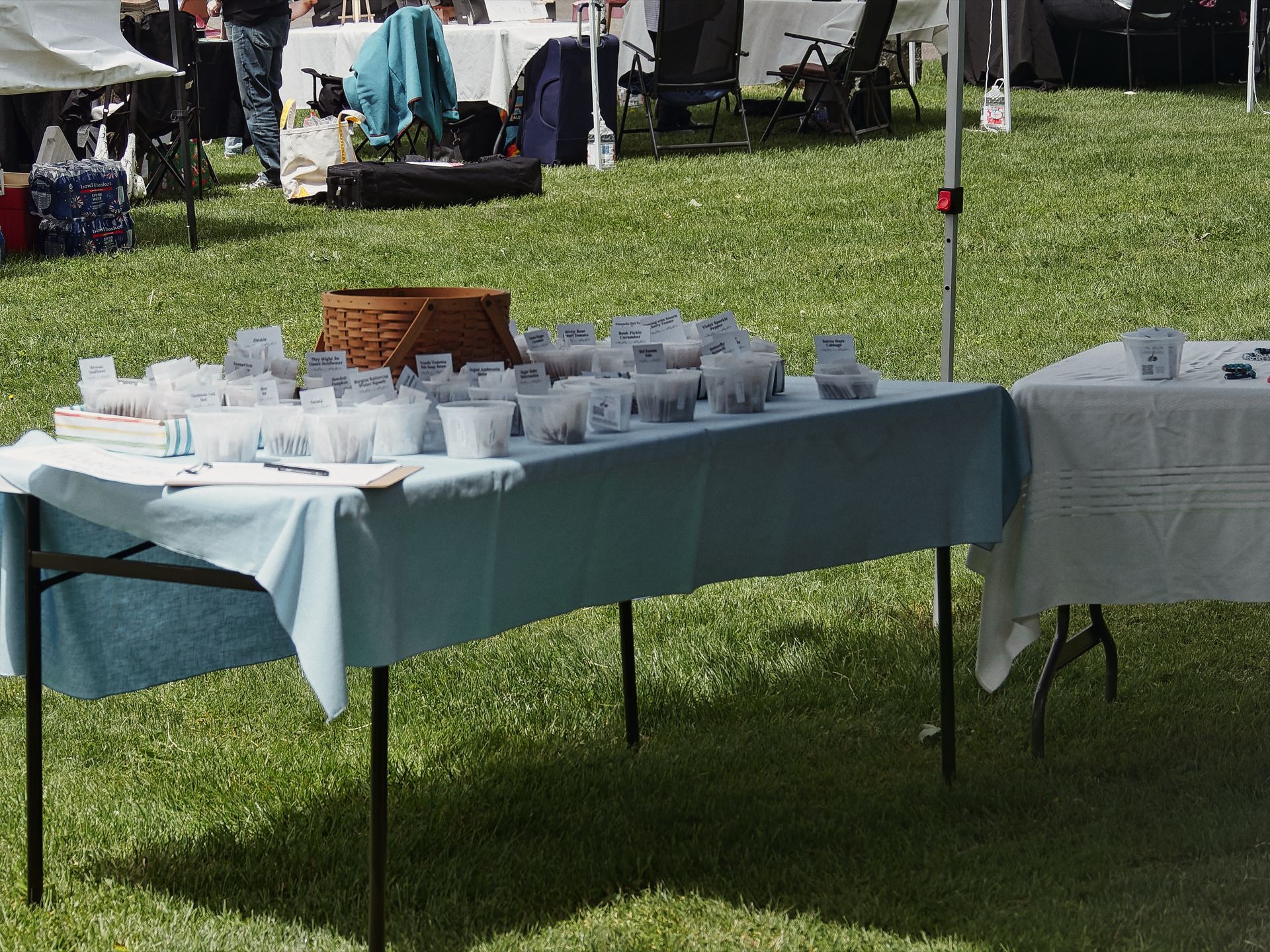 Outdoor vendor table draped in a pale blue cloth, densely covered with small labeled plastic cups and seed packets arranged in rows, with a woven basket at the center back — likely a plant or seed swap at a community fair. A second white-clothed table sits to the right, and in the background, folding chairs, tents, and a few people mill about on a bright green lawn.