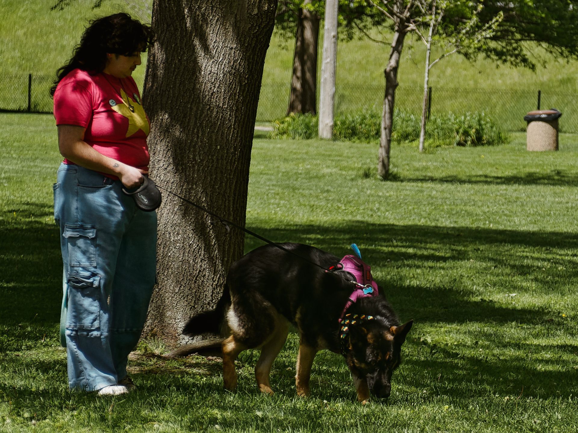 Woman in a red graphic tee and blue cargo pants standing beside a large tree trunk, holding a leash attached to a black-and-tan German Shepherd wearing a pink harness and sniffing the grass in the foreground. A mowed park stretches into the background with sparse young trees and a stone pedestal visible to the right.