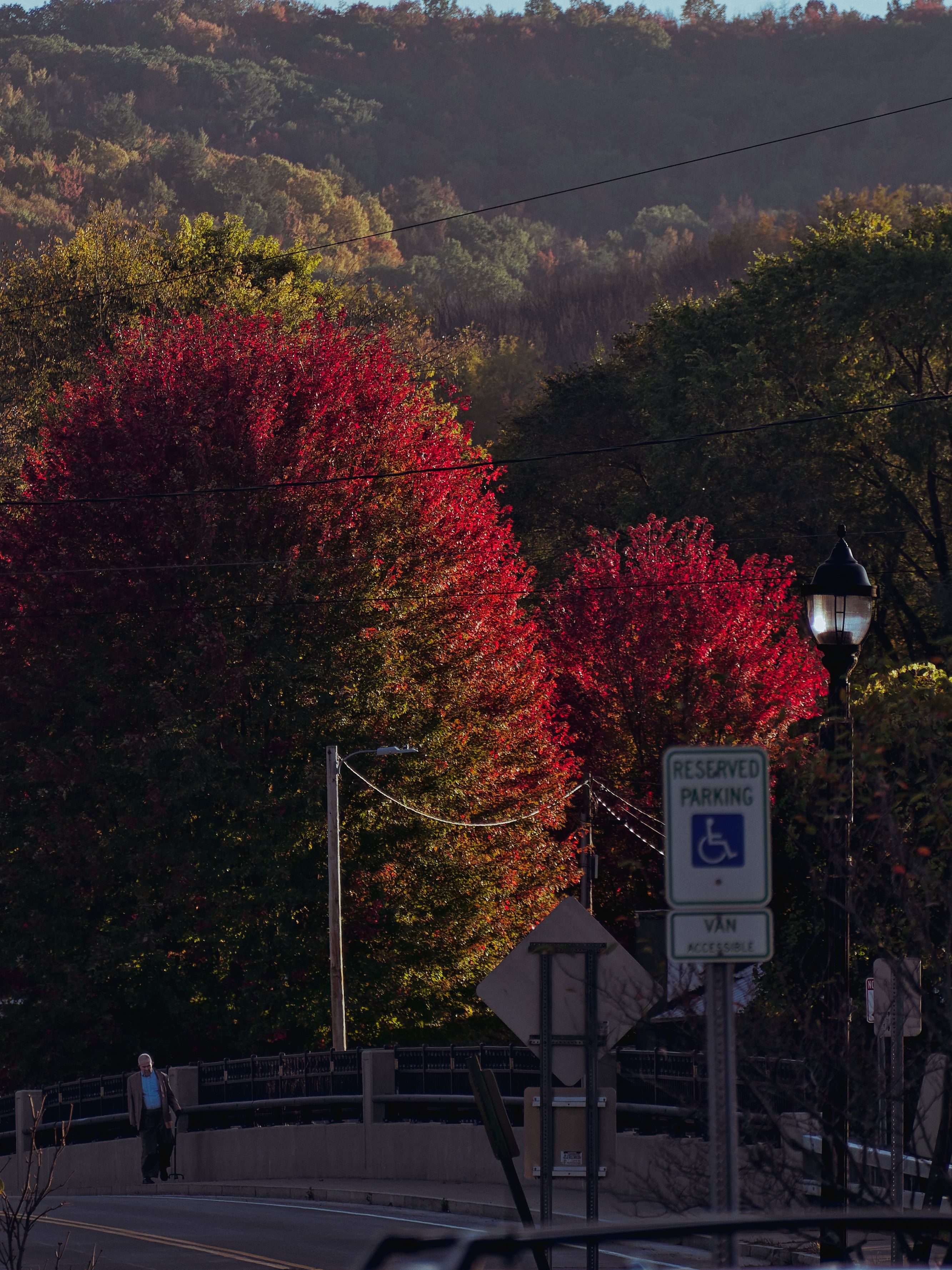 Vertical shot of a small-town street scene in peak autumn, dominated by two brilliantly lit crimson trees that glow against a backdrop of darker green and rust-toned hillside forest. In the lower left foreground, an elderly person with a cane walks along a bridge railing, dwarfed by the foliage above. To the right, a lit street lamp and signs reading "RESERVED PARKING," a blue wheelchair accessibility symbol, and "VAN ACCESSIBLE" anchor the urban edge of the scene.