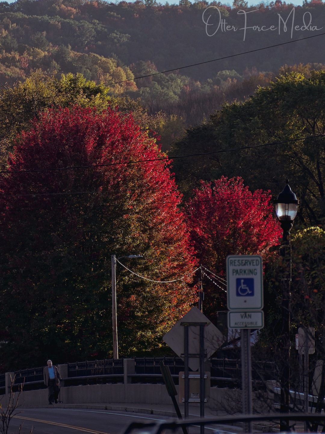 Belmont, NY Fall Colors